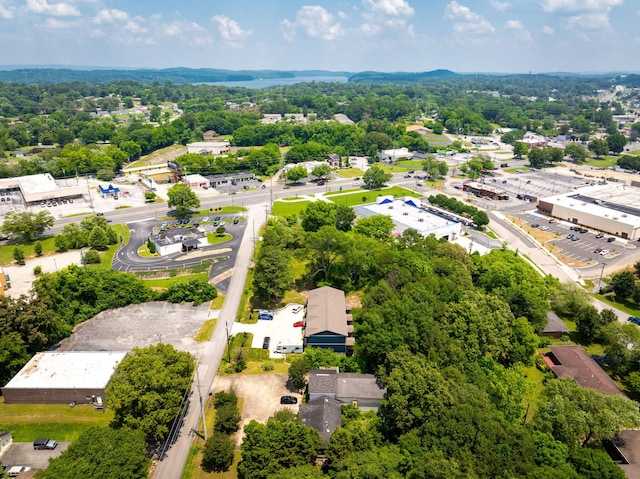 4406 Shelborne Dr, Chattanooga, TN 37416 - photo 15