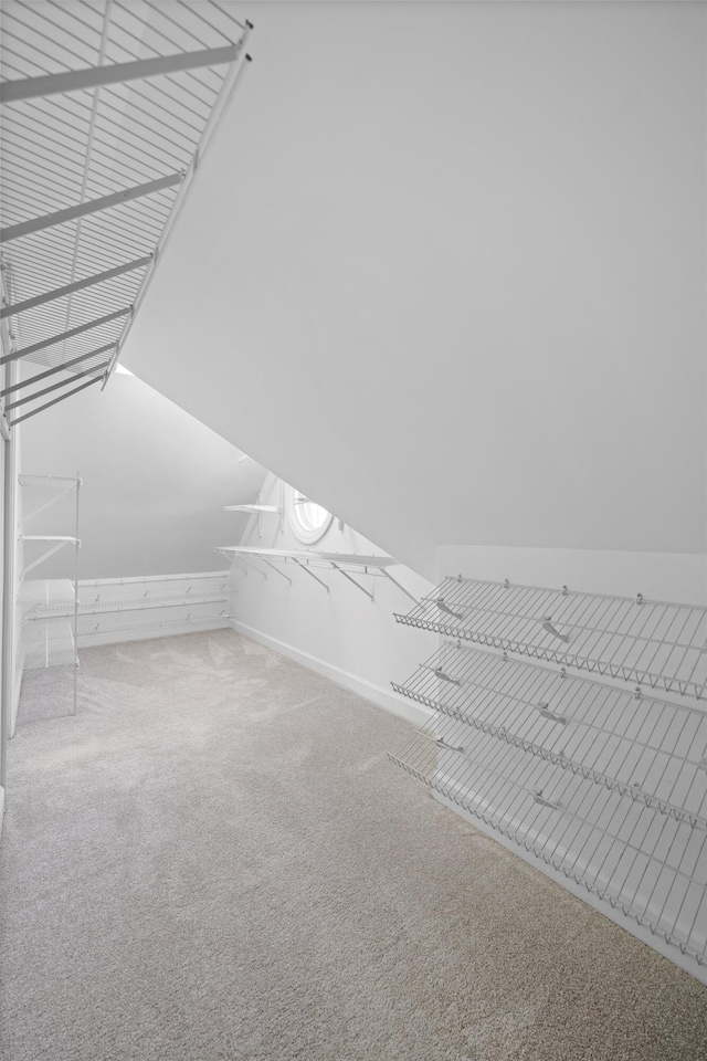 6401 Beacon Pointe Cir, Hixson, TN 37343 - walk in closet with carpet floors