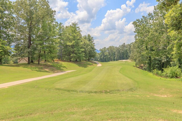 59 Briarwood Dr, Ringgold, GA 30736 - photo 63