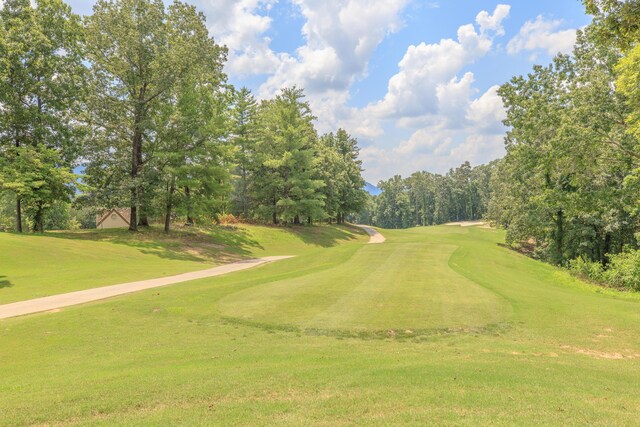 59 Briarwood Dr, Ringgold, GA 30736 - photo 62