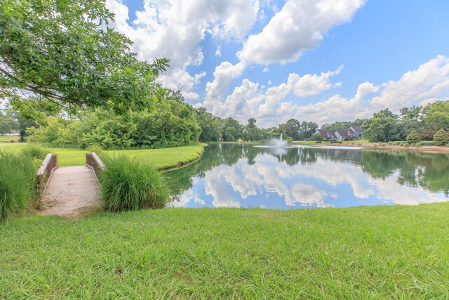 59 Briarwood Dr, Ringgold, GA 30736 - photo 77