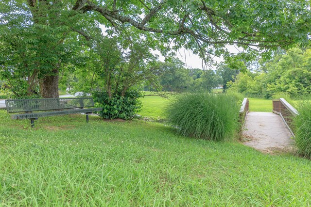 59 Briarwood Dr, Ringgold, GA 30736 - photo 79