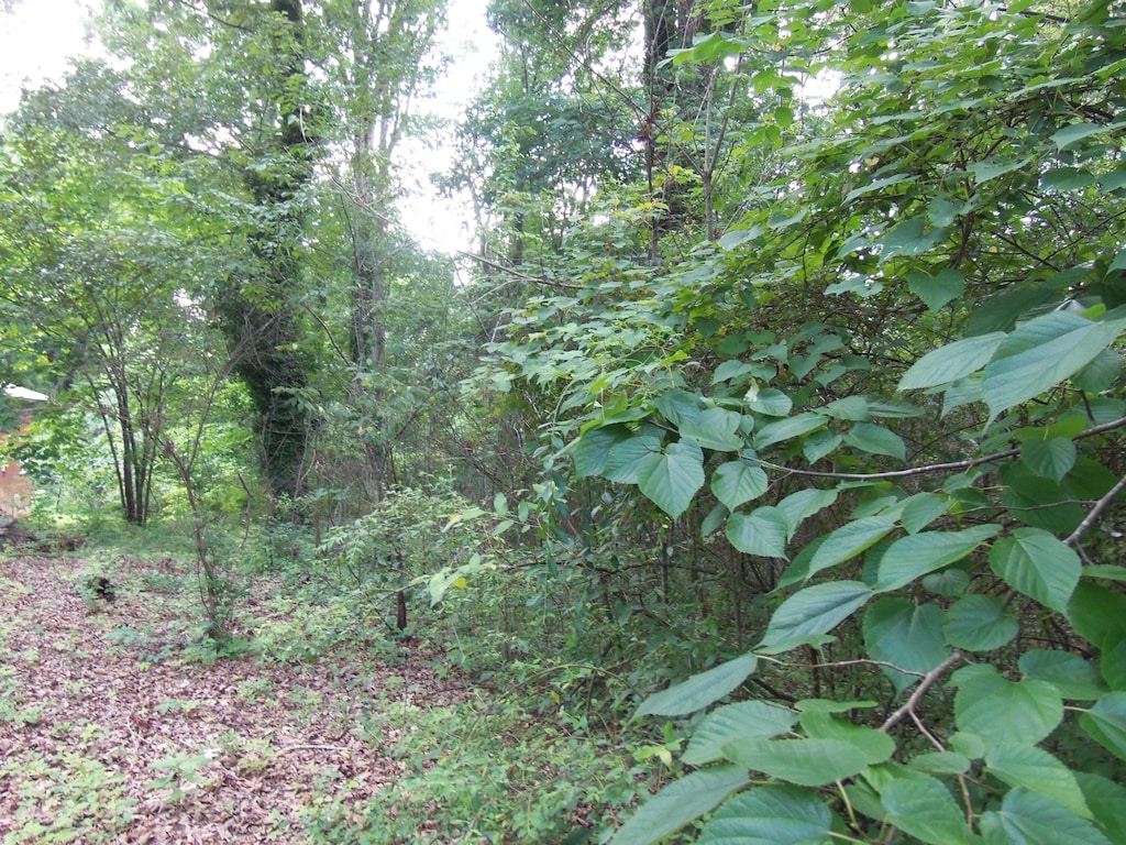 00 S Dixie Hwy, Dalton, GA 30720