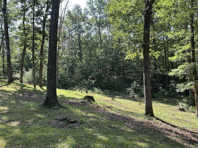 365 Green Dr Unit 4, Pikeville, TN 37367 - view of wooded area