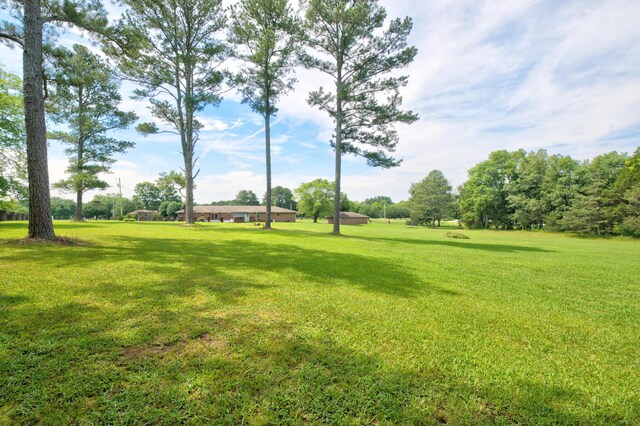 290 Powder Horn Ln, Ringgold, GA 30736 - photo 23