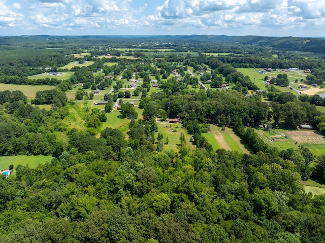 296 Davis Ln NW, Cleveland, TN 37312 - photo 12