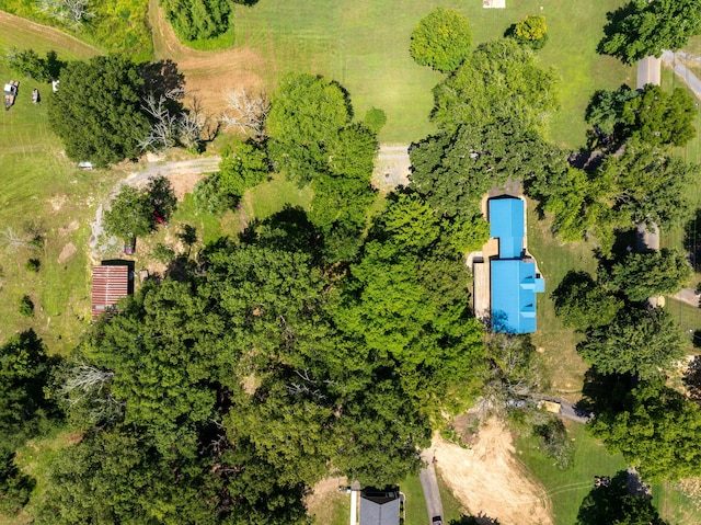 296 Davis Ln NW, Cleveland, TN 37312 - photo 19