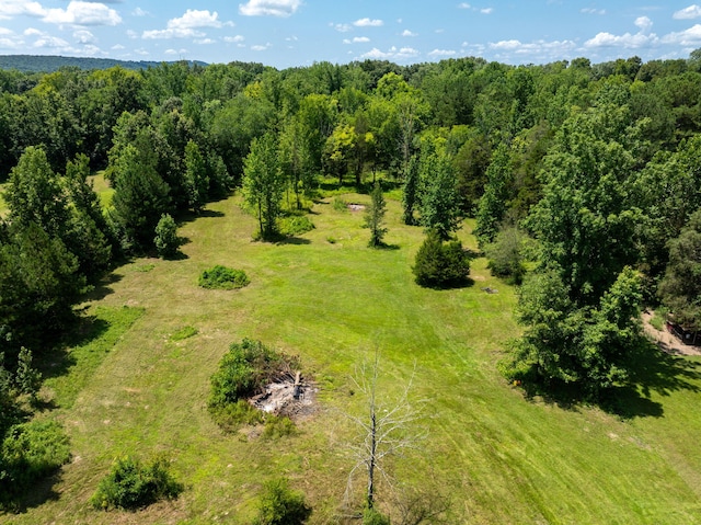 296 Davis Ln NW, Cleveland, TN 37312 - photo 23