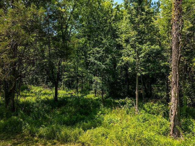 296 Davis Ln NW, Cleveland, TN 37312 - photo 25