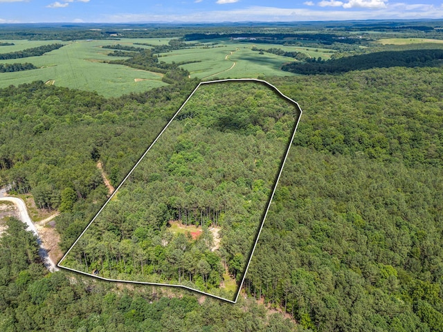 1780 Wolf Haven Rd, Spencer, TN 38585 - aerial view of property and surrounding area with property boundaries highlighted