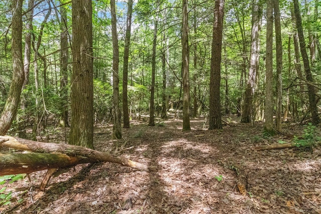 1780 Wolf Haven Rd, Spencer, TN 38585 - view of wooded area