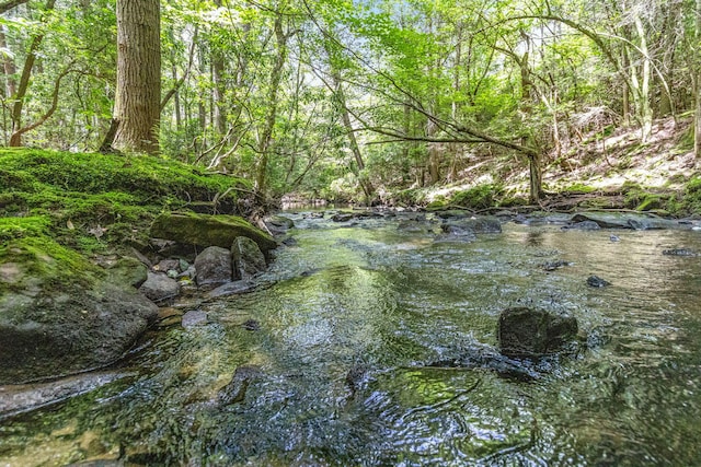 1780 Wolf Haven Rd, Spencer, TN 38585 - water view with a forest