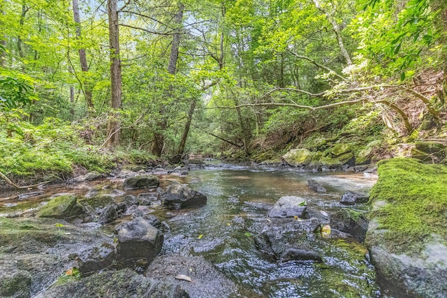 1780 Wolf Haven Rd, Spencer, TN 38585 - view of woods