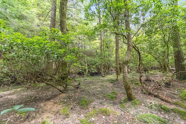 1780 Wolf Haven Rd, Spencer, TN 38585 - view of tree filled area