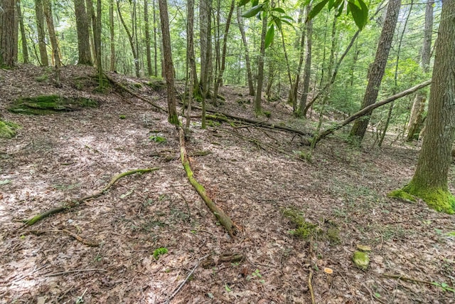 1780 Wolf Haven Rd, Spencer, TN 38585 - view of woods
