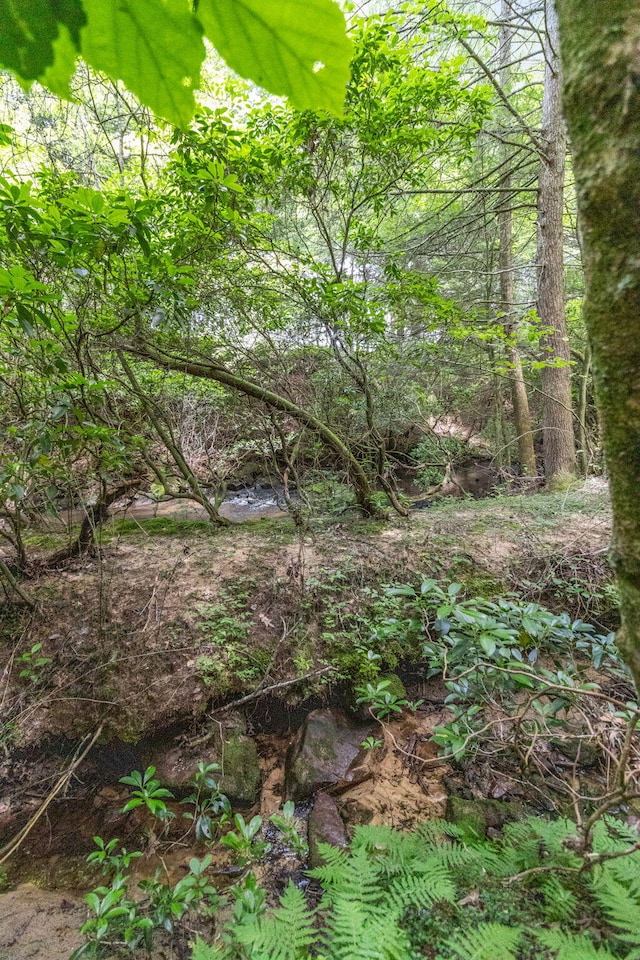 1780 Wolf Haven Rd, Spencer, TN 38585 - view of nature