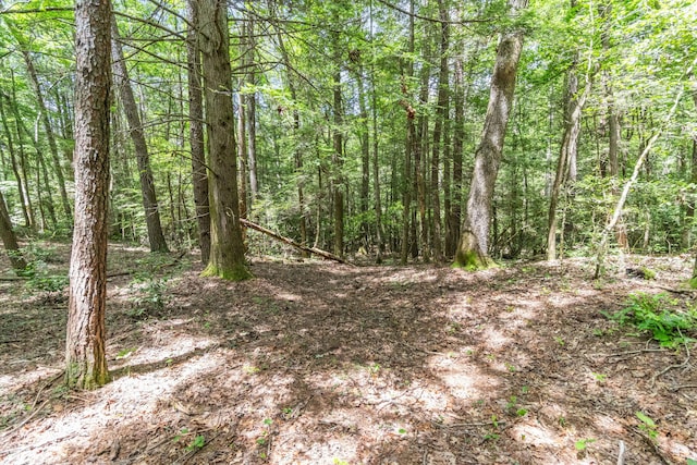 1780 Wolf Haven Rd, Spencer, TN 38585 - view of tree filled area