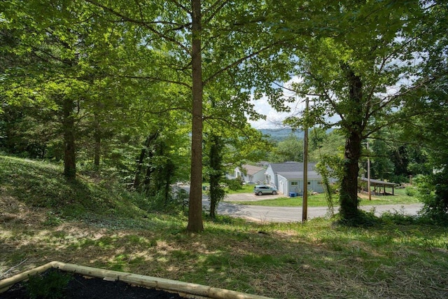 4802 Alpine Dr, Chattanooga, TN 37415 - photo 26