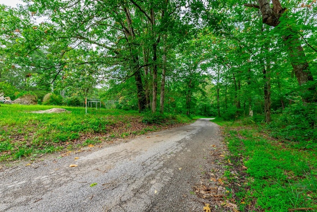 1054 Myers Hill Rd Lot # 2, Tracy City, TN 37387 - photo 3
