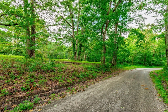 1054 Myers Hill Rd Lot # 2, Tracy City, TN 37387 - photo 7