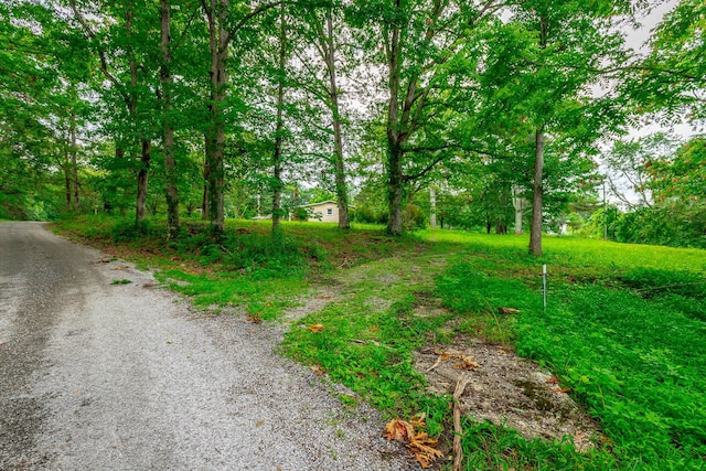 1054 Myers Hill Rd Lot # 2, Tracy City, TN 37387 - photo 8
