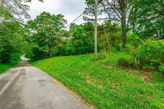1054 Myers Hill Rd Lot # 2, Tracy City, TN 37387 - photo 9