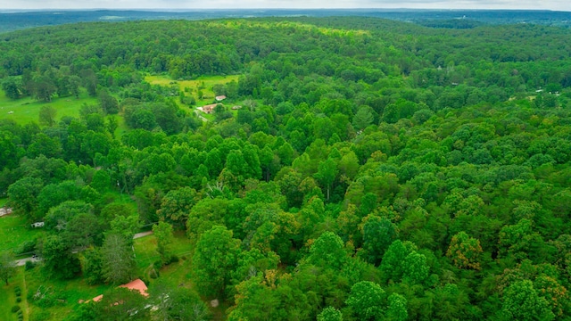 1054 Myers Hill Rd Lot # 2, Tracy City, TN 37387 - photo 11