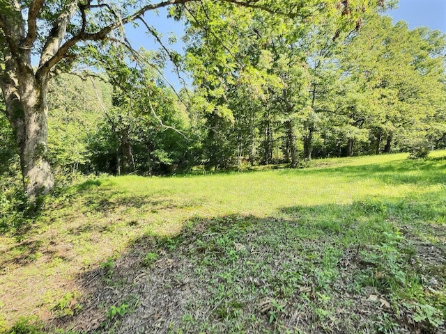1054 Myers Hill Rd Lot # 2, Tracy City, TN 37387 - photo 1