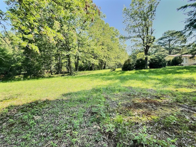 1054 Myers Hill Rd Lot # 2, Tracy City, TN 37387 - photo 13