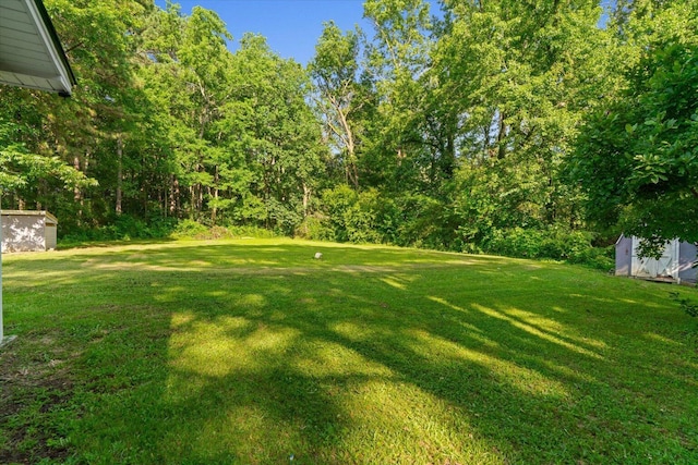 1320 Coker Dr, Dalton, GA 30721 - view of green lawn featuring a shed