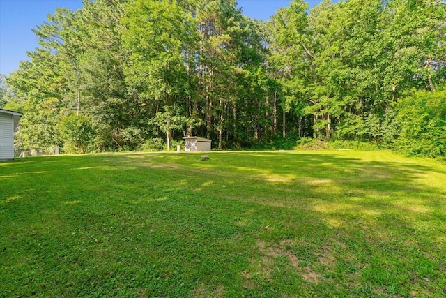 1320 Coker Dr, Dalton, GA 30721 - view of grassy yard featuring a shed