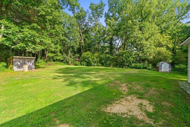 1320 Coker Dr, Dalton, GA 30721 - view of grassy yard with a storage unit