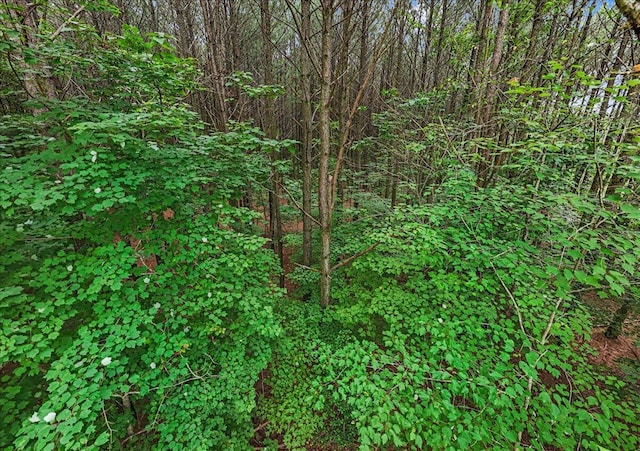 0 Crockett Pt Unit Jf608, Jasper, TN 37347