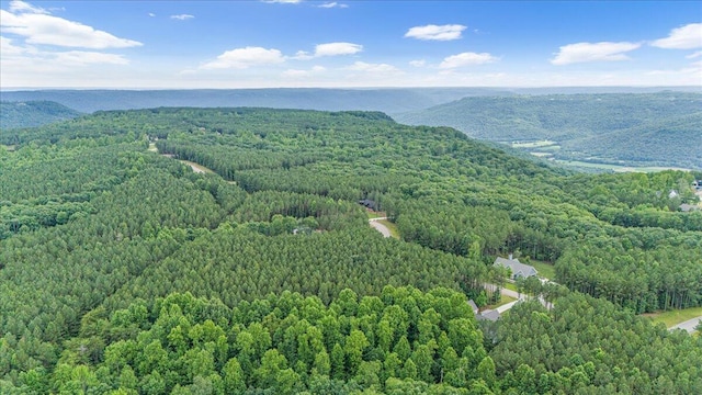 0 Crockett Pt Unit Jf608, Jasper, TN 37347
