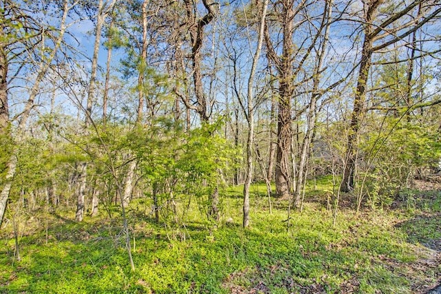 165 Brokenwood Ln, Crossville, TN 38558 - photo 1