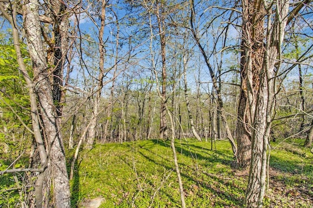 165 Brokenwood Ln, Crossville, TN 38558 - photo 2