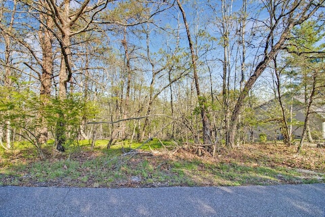 165 Brokenwood Ln, Crossville, TN 38558 - photo 5