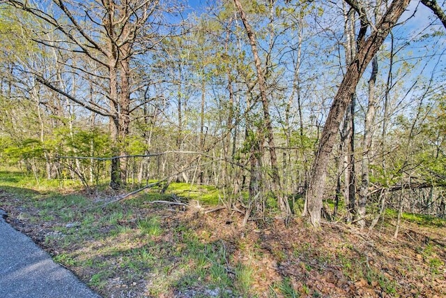 165 Brokenwood Ln, Crossville, TN 38558 - photo 12