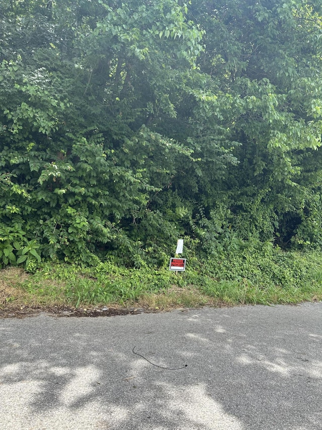 LOT67, 68 15th Ave, Chattanooga, TN 37404