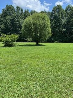 7900 Clara Chase Dr, Ooltewah, TN 37363 - photo 6
