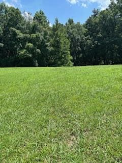7900 Clara Chase Dr, Ooltewah, TN 37363 - photo 8