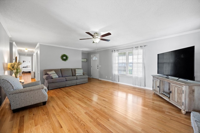 119 Broadacre Rd NE, Dalton, GA 30721 - living room featuring a textured ceiling, a ceiling fan, light wood-style flooring, and ornamental molding