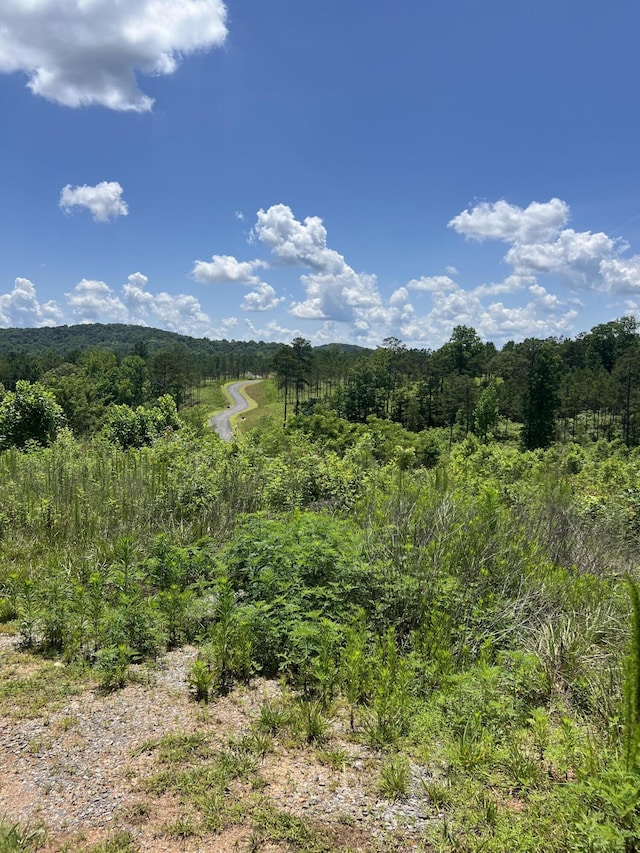 0 Highgrove Dr Lot # 265, Talking Rock, GA 30175