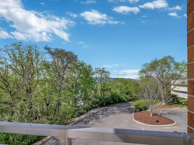 1131 Stringers Ridge Rd Unit 4C, Chattanooga, TN 37405 - view of patio / terrace
