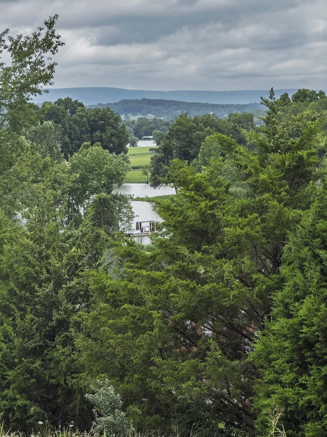115 Riverbend Dr, Dayton, TN 37321 - photo 38