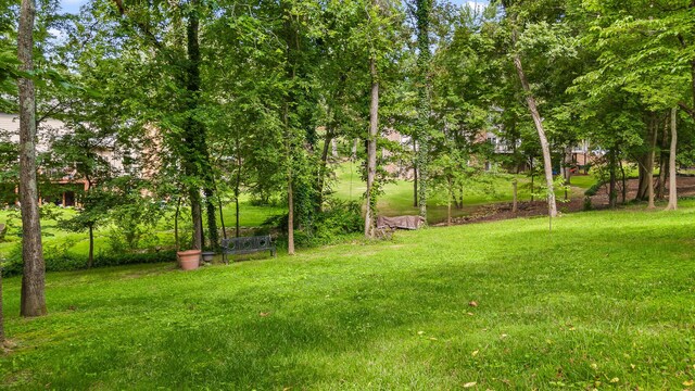 9420 Mountain Shadows Dr, Chattanooga, TN 37421 - view of grassy yard