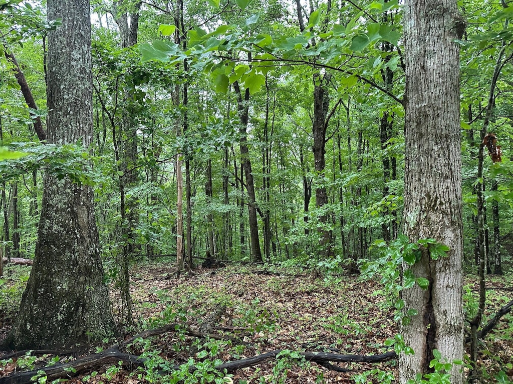 LOT11 Mountain Top Dr Lot 11, Palmer, TN 37365 - photo 1