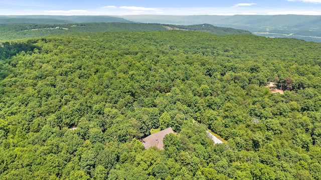 38 Reflection Dr, Dunlap, TN 37327 - photo 59