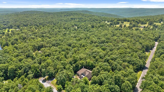 38 Reflection Dr, Dunlap, TN 37327 - photo 62