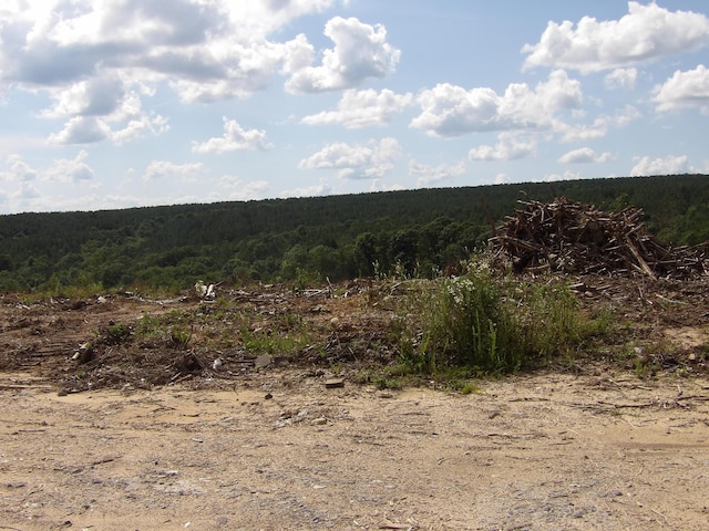LOT18 Summer City Rd, Evensville, TN 37332